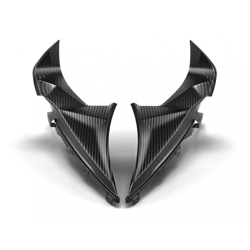 BMW S1000RR M carbon top fairing side panel